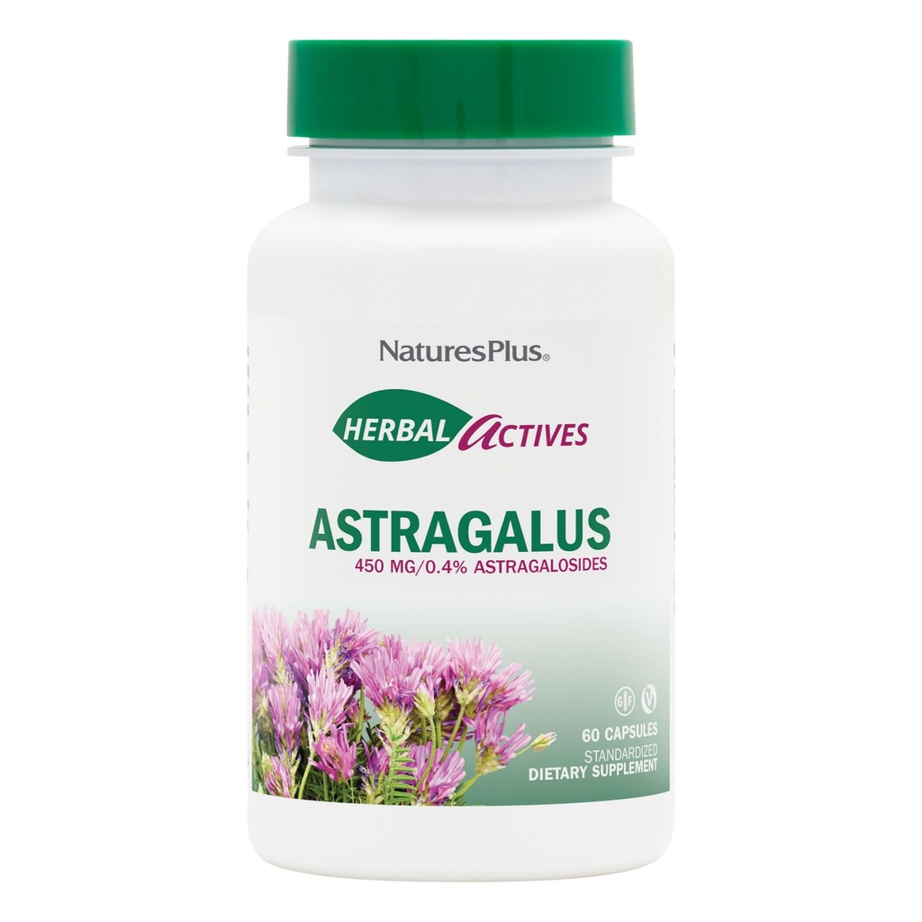 NaturesPlus Herbal Actives Astragalus - 60 Capsules - Immune System Support - Vegan, Gluten Free - 60 Servings