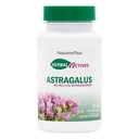 NaturesPlus Herbal Actives Astragalus - 60 Capsules - Immune System Support - Vegan, Gluten Free - 60 Servings