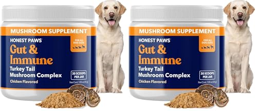 Turkey Tail Mushroom for Dogs - Digestive and Immune Support - Shiitake, Reishi, Maitake Mushroom Supplement Powder for Dogs - No Filler, No Additives - (30 Scoops) (Pack of 2)