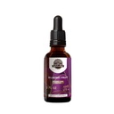 Earth's Love - Bilberry Fruit Alcohol-Free Herbal Extract Tincture, Super-Concentrated Bilberry (Vaccinium Myrtillus) Dried Fruit (2 Fl Oz)