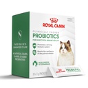 Royal Canin Probiotics for Cats Digestive and Immune Health Powder Supplement for Cats of All Ages, 30 Count