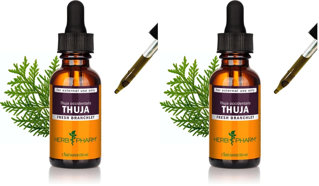 Herb Pharm Thuja Branchlet Liquid Extract - 1 Ounce (DTHUJA01) (Pack of 2)