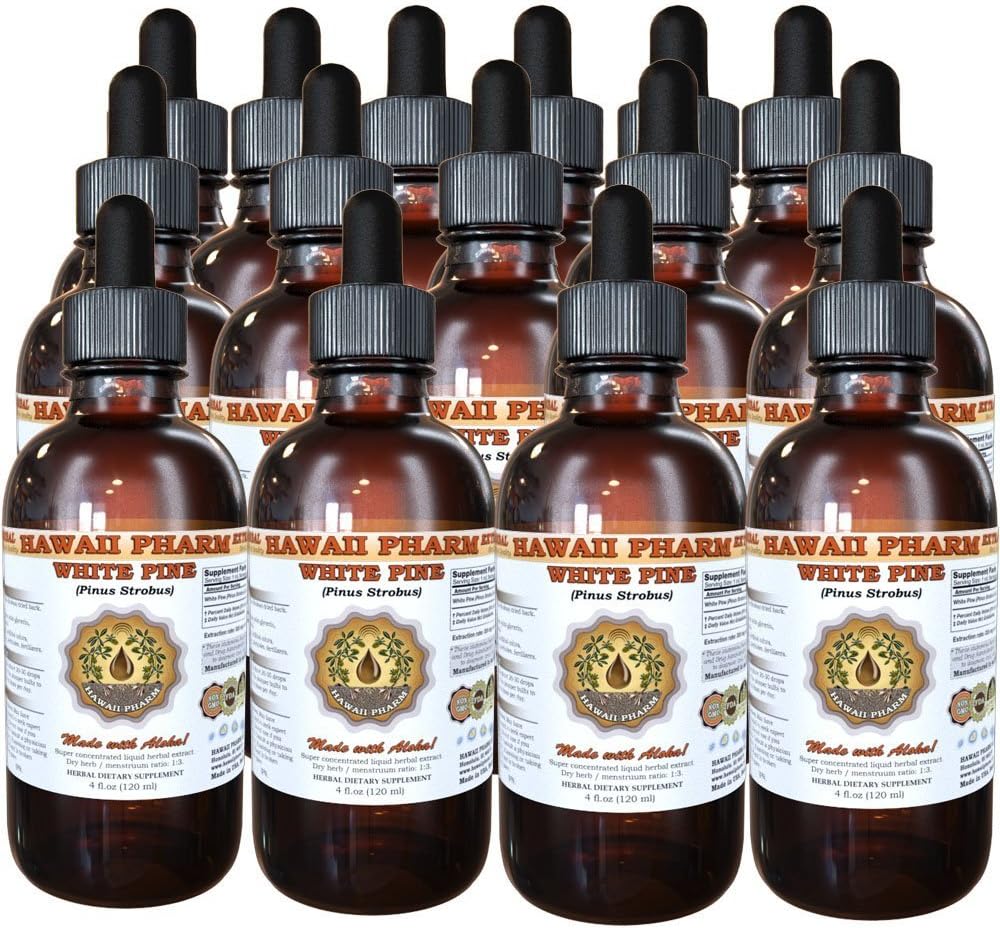 Λευκό Pine Liquid Extract, Λευκό Pine (Pinus Strobus) Βούρτσα σκόνης, συμπλήρωμα βοτάνων, Χαβάη Pharm, Made in USA, 15x4 fl.oz