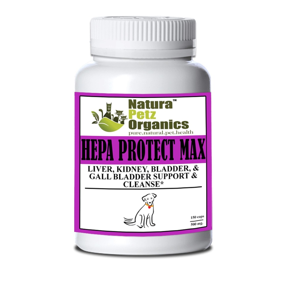 Hepa Protect Max Capsules for Liver and Kidney Health Support