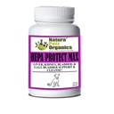 Hepa Protect Max Capsules for Liver and Kidney Health Support