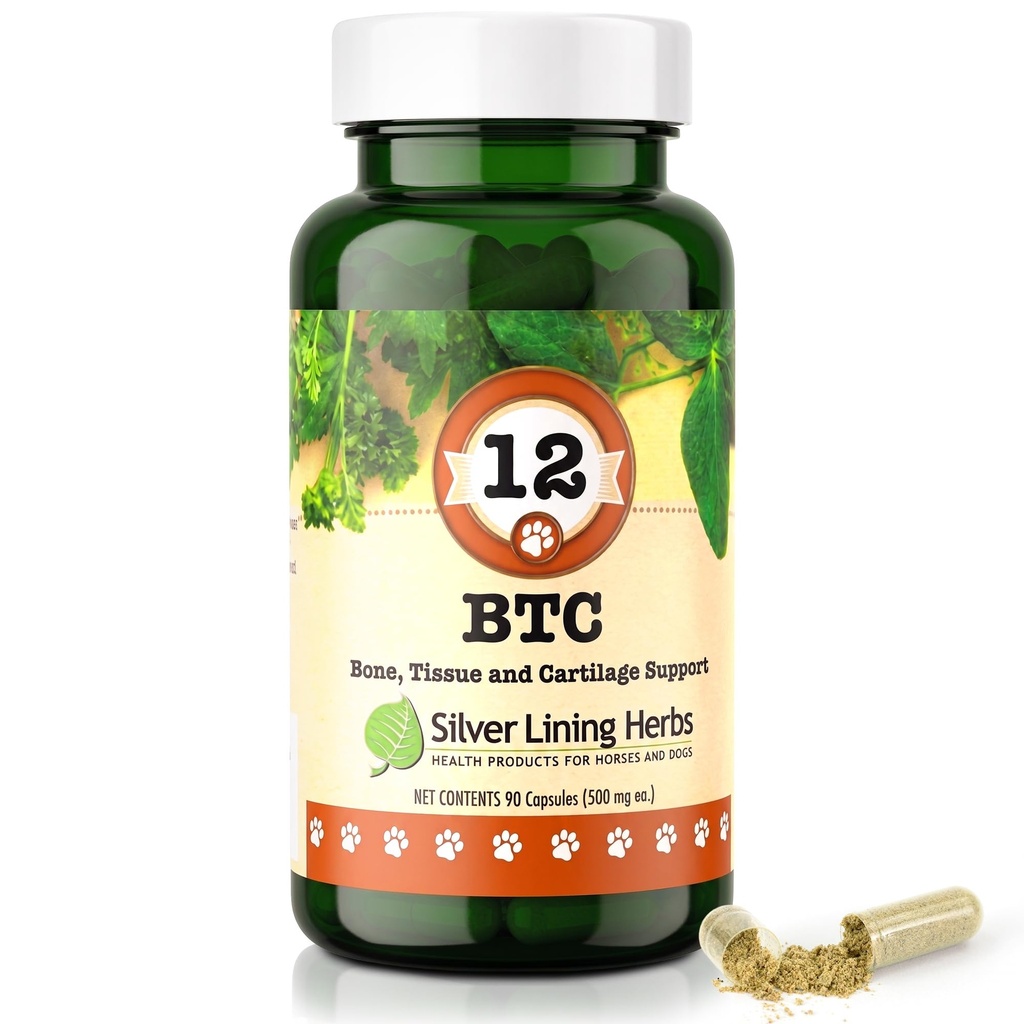 12 Bone Tissue and Cartilage - Natural Herbal Support for Dog's Structural System - Maintains Canine Mobility, Flexibility and Vitality - 90 Capsules