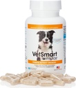 Pet Probiotics για τα σκυλιά συμπλήρωμα - Υποστηρίζει Digestive Ένζυμα για τη θρεπτική απορρόφηση - 15 Δισεκατομμύρια Ενεργός Προβιοτικός Πολιτισμός Επίθεση Φλεγμονή για την πρόληψη της μόλυνσης
