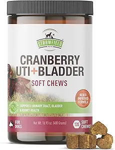 Cranberry UTI θεραπεία για τα σκυλιά – μαλακά μάσημα για την ουρική τραχεία υγεία, υποστήριξη της ουροδόχου κύστης και προστασία των χλοών – φυσικά Vet-Σχηματισμένα συμπληρώματα κράνμπερι – USA Made – φυστικοβούτυρο άρωμα