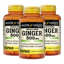 MASON ΦΥΣΙΚΟ Ολόκληρο Βότανο Ginger 500 mg, 6 Μήνες προσφοράς, Φυσικό φυτικό συμπλήρωμα, 60 κάψουλες (3 Συσκευασία)