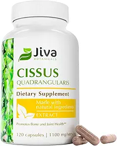 Jiva Botanicals Cissus Quadrangularis Κάψουλες 550 mg - Εκχύλισμα σκόνης υψηλής ισχύος για την κανονική υγεία των οστών & κανονική κοινή υποστήριξη - 120 κάψουλες (πακέτο του 1)