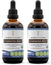 Echinacea Root USDA Organic Tincture 