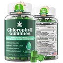 Chlorophyl Gummies - Super Green με το σιτάρι χόρτο, θαλάσσια Moss, Unfiltered ACV & Elderberry, Echinacea, σύμπλοκο ψευδάργυρου & βιταμίνη D3, C, E, B12 για το φυσικό αποσμητικό, ανοσοποιητικό & υποστήριξη πέψης, 60 μάσημα