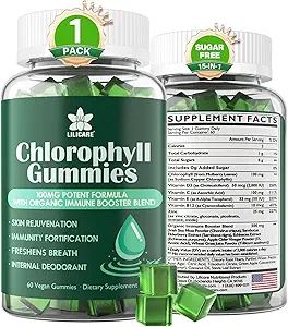 Chlorophyl Gummies - Super Green με το σιτάρι χόρτο, θαλάσσια Moss, Unfiltered ACV & Elderberry, Echinacea, σύμπλοκο ψευδάργυρου & βιταμίνη D3, C, E, B12 για το φυσικό αποσμητικό, ανοσοποιητικό & υποστήριξη πέψης, 60 μάσημα