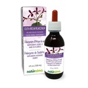 Naturalma South African Pelargonium ή Umckaloaba (Pelargonium sidoides) Ρίζα Αλκοόλ-ελεύθερο Βάμμα - 4 fl oz Liquid Extract in Drops - φυτικό συμπλήρωμα - Vegan