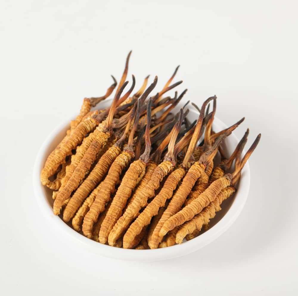 Άγρια Cordyceps, ολόκληρα Imalyan Cordyceps Sinensis Mushroom, γνήσια και πολύ σπάνια, υψηλής ποιότητας, ενίσχυση της ενέργειας, μείωση του άγχους για άνδρες και γυναίκες, 5 γραμμάρια (13+17pic) από Lamjung Νεπάλ Keeda Zadi