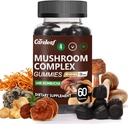 9 σε 1 Mushroom Gummies με Mane Lion για το συμπλήρωμα εστίασης και τα συμπληρώματα ενέργειας για την υποστήριξη του ανοσοποιητικού συστήματος De-Stress Boost Mood & Energy 60 Count Kombucha Flavor