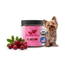 kin+kind Dog Supplement Powder - Συμπλήρωμα για σκύλους & γάτες για υγιή ανοσία - Υποστήριξη της ουροδόχου κύστης - Φυσική Φόρμουλα με βιολογικό βατόμουρο, βατόμουρο και καρύδα - Made in USA - 4 oz (Medium)