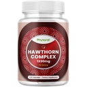 Υψηλής αντοχής κάψουλες καρπού Hawthorn - καθαρό αντιοξειδωτικό συμπλήρωμα καρπού Hawthorn με εκχύλισμα φύλλων & λουλουδιών 4:1 για την υγεία της καρδιάς & την πέψη - Ενεργειακή υποστήριξη για άνδρες & γυναίκες - 120 Count Pack