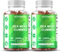 Vitamatic Irish Sea Moss Gummies – 3000 mg Ισοδύναμο ανά υπηρεσία (από το εκχύλισμα 132,5 mg) – 60 Ct – Κατασκευασμένο με Bladderwrack & Burdock Root – 2 Pack