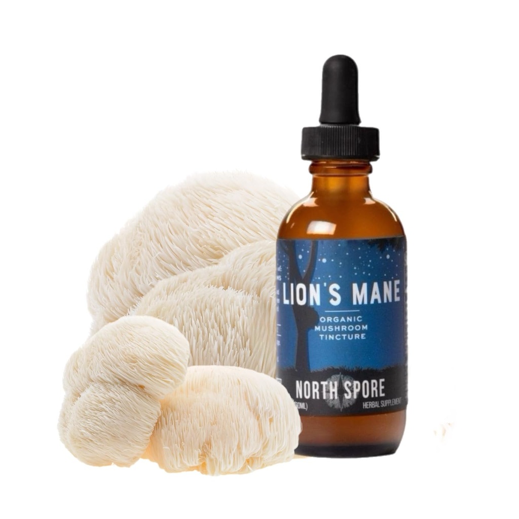 North Spore Organic Lion's Mane Mushroom Tincture (2 oz) 