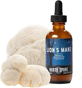 North Spore Organic Lion's Mane Mushroom Tincture (2 oz) 