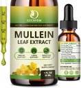 (2 Pack) 98% Απορρόφηση Mullein Drops για τους πνεύμονες, Ισχυρό 5 σε 1 Mullein Leaf Herbal Blend Extract, Φυσικό Lungs συμπλήρωμα υποστήριξης για τους πνεύμονες Cleanse & Detox και αναπνευστική υγεία πνευμόνων