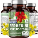 Number One Nutrition N1N Premium Berberine Plus 120 Caps, 1200mg, φυσικό συμπλήρωμα υποστηρίζει την καταπολέμηση της γήρανσης, κυτταρίτιδα υγεία, ενέργεια και πέψη