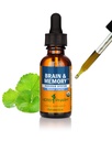 Herb Pharm Organic Nootropic Brain & Memory Supplement with Ginkgo Biloba Liquid Extract: Γρήγορη απορρόφηση για υποστήριξη ψυχικής εστίασης, Ginkgo Supplement, Vegan, Gluten-free, Non-GMO, 1 Oz
