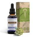 Μυστικά της φυλής Artichoke USDA Organic 
