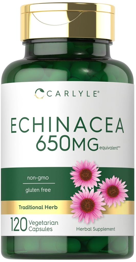 Carlyle Echinacea 