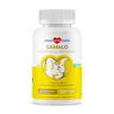Ίδιο για τα σκυλιά - 120 Μασώμενα δισκία - S- Adenosyl- L- Μεθειονίνη, συμπλήρωμα ήπατος - Εγκεφαλική υγεία, προάγει τη γνωστική υποστήριξη, υποστήριξη ήπατος (ίδιο δισκίο)