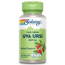 SOLARAY Uva Ursi Leaf 460 mg 