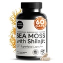 Sea Moss και Shilajit Κάψουλες Atlantic 5-σε-1 Seamoss Shilajit Combo με Bladderwrack, Burdock Root & Black Pepper – Sea Moss Συμπληρώματα για Απορρόφηση & Ζωτικότητα – 2705 mg – 60 Count