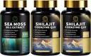 Sea Moss και Shilajit Κάψουλες για άνδρες και γυναίκες, Όλα σε 1 Συμπληρώματα με Shilajit, Sea Moss, Συνένζυμο Q10, Μαύρος Σπόρος, Ashwagandha, Burdock για την ενέργεια, Αντιοξειδωτικό & ανοσοποιητική υποστήριξη