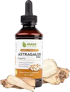 Maxx Herb Astragalus Root Extract - Μέγιστη δύναμη Υγρή βαφή Απορροφήσεις Καλύτερα από κάψουλες ή σκόνη, για ανοσοποιητική υποστήριξη και νοητική καθαρότητα - 4 Oz μπουκάλι (60 εξυπηρετούν)