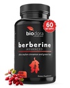 Berberine Advanced Plus με 1200mg Berberine - 100mg Ceylon Cinnamon και 100mg Green Tea Extract - 1400mg ανά δόση -120 κάψουλες - 60 ημέρες προσφοράς - Υποστηρίζει το ανοσοποιητικό και καρδιαγγειακό