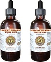 White Pine Liquid Extract, White Pine (Pinus Strobus) Bark Powder Tincture, Herbal Supplement, Hawaii Pharm, Made in USA, 2x4 fl.oz