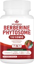 7-in-1 Berberine Phytosome with Ceylon Cinnamon, Berberine Complex Supports Metabolic, Liver Function and Immune System, Non-GMO, Gluten-Free - 60 Capsules