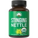 USDA Βιολογικές κάψουλες Stinging Nattle Vegan Κατασκευασμένες με Stinging Nattle Leaf Powder για Prostate, Hair Growth, Αλλεργία. Καλύτερα από ρίζα ή εκχύλισμα σπόρων. Tabletισκία Συμπληρώματος Βότανων με βάση το φυτό, 60 Χάπια