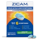 Zicam Ψυχρό & γρίππη Συμπτώματα με Echinacea και Sambucus, Ομοιοπαθητικά, Ψευδάργυρος, Ψύξη γεύση μέντας, Βοηθά με κρύα συμπτώματα, 20 δισκία