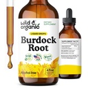 Άγρια & οργανική απόχρωση ρίζας Burdock - Συμπλήρωμα υγρού για αντιοξειδωτικό, Detox, Digestive Support - σταγόνες ριζικού βοτάνου Burdock - Vegan, Ζάχαρη & Χωρίς αλκοόλ - 4 fl oz
