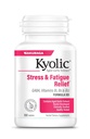 Kyolic Aged Garlic Extract Formula 101, Stress and Fatigue Relief, 100 δισκία.