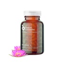 Native Formulas Restore 3 Proteolytic Enzyme & Spore Probiotic Blend Supplement - 60 Κάψουλες - Advanced Biofilm Disruption Aid - Υποστήριξη GI Υγεία, Ινομυαλγία, Χλωρίδα, Μύες