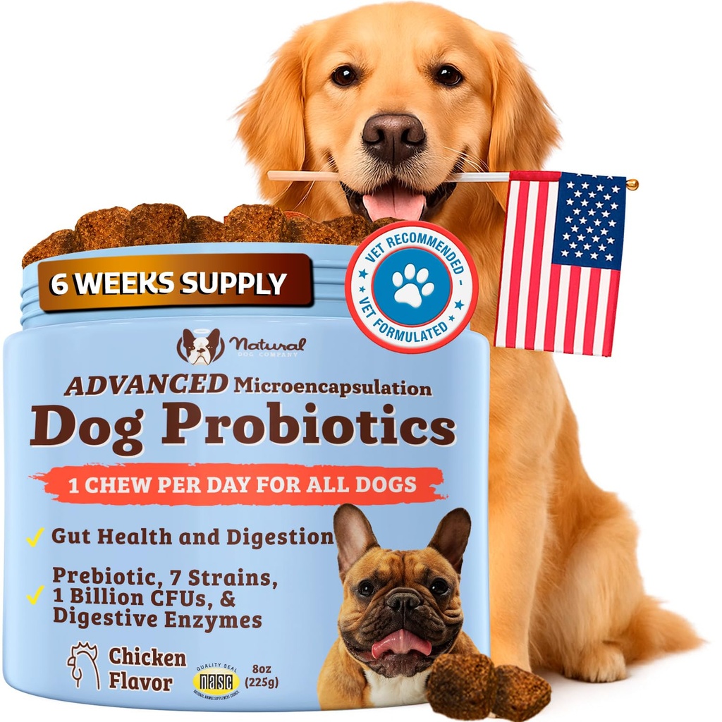 Natural Dog Company Gut Health & Canine Special Probiotics Chews, 1 Daily Chew for All Dogs, Prebiotics & Digestive Enzymes for Digestion, Gas, Loose Stool, Immune System & Bowel Support