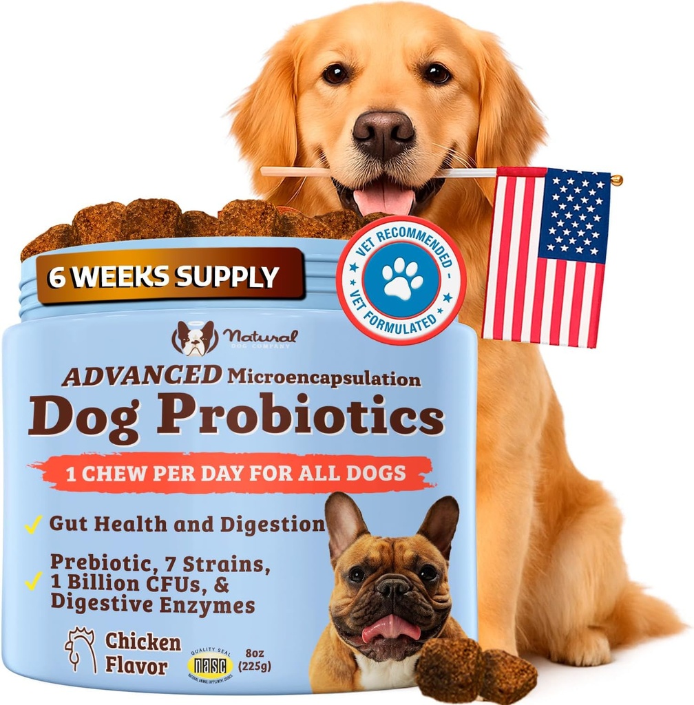 Natural Dog Company Gut Health & Canine Special Probiotics Chews, 1 Daily Chew for All Dogs, Prebiotics & Digestive Enzymes for Digestion, Gas, Loose Stool, Immune System & Bowel Support