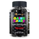 ALPHA LION Gains Candy, χάπια συμπλήρωμα για την αντλία μυών & ροή του αίματος, Nitric Oxide Booster, υποστηρίζει ψυχική εστίαση, χρήση καθημερινά για την αναβάθμιση της απόδοσης προπόνησης, 63 κάψουλες (Nitrosigine)