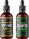 HERBIFY Bundle - Lions Mane Drops & Cilantro Βάμμα - Brain Boost & Body Detox