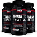 FORCE FACTOR Tribulus Terrestris για άνδρες, 3-πακέτο, Tribulus Testosterone Booster για άνδρες, αρσενικό συμπλήρωμα ζωτικότητας, Tribulus εκχύλισμα & φυσικά συστατικά για την ανώτερη απορρόφηση, 1000mg, 180 κάψουλες