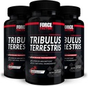 FORCE FACTOR Tribulus Terrestris για άνδρες, 3-πακέτο, Tribulus Testosterone Booster για άνδρες, αρσενικό συμπλήρωμα ζωτικότητας, Tribulus εκχύλισμα & φυσικά συστατικά για την ανώτερη απορρόφηση, 1000mg, 180 κάψουλες