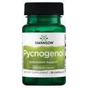 Swanson Pycnogenol 100 Milligrams 30 Κάψουλες